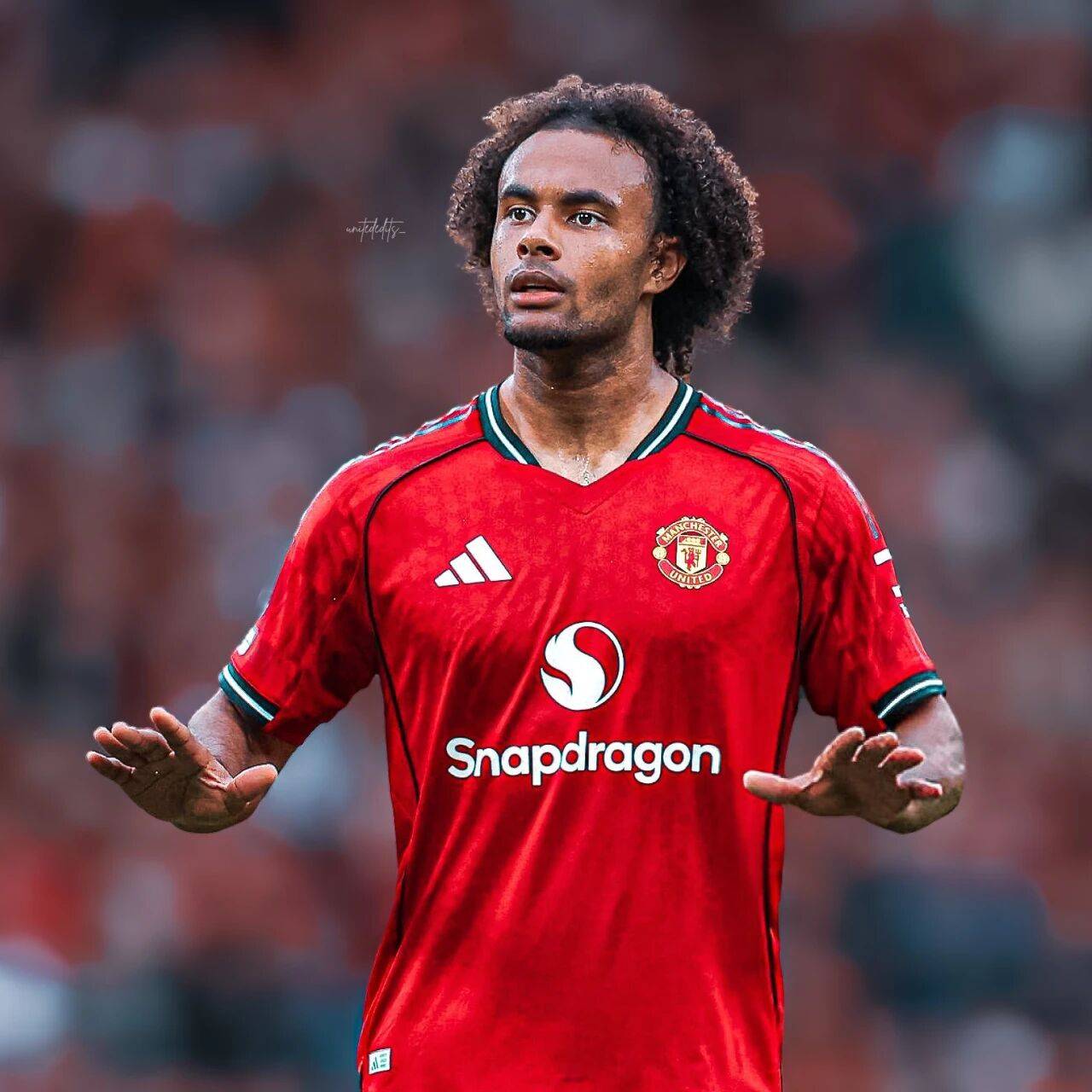 แมนเชสเตอร์ ยูไนเต็ด กำหนดเกณฑ์ใหม่ในการเซ็นสัญญากับกองหน้า! ซิร์คซีมองหาโอกาสในฟุตบอลโลก, อโมลินยังไม่ได้ตัดสินใจ_อาร์เซนอล_ลียง_โรม่า