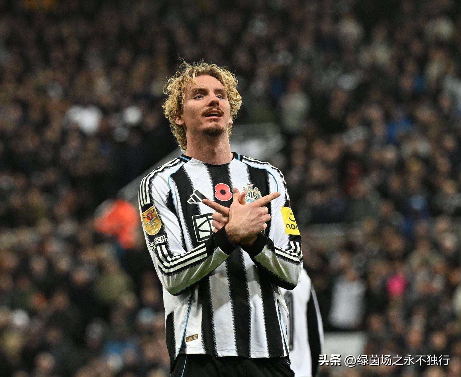 ทีมชาติเยอรมนีได้ผลิตกองหน้าคนใหม่: มีมูลค่า 65 ล้านยูโร ทำได้ 11 ประตูจากการลงสนาม 23 นัด เสียใจกับการสูญเสียผู้เล่นตัวแกร่งสูง 2 เมตรของบาเยิร์น มิวนิค - โวลเทมาเด - สตุ๊ตการ์ท - ฟุตบอลโลก ทีมชาติเยอรมนีได้ผลิตกองหน้าคนใหม่: มีมูลค่า 65 ล้านยูโร ทำได้ 11 ประตูจากการลงสนาม 23 นัด เสียใจกับการสูญเสียผู้เล่นตัวแกร่งสูง 2 เมตรของบาเยิร์น มิวนิค - โวลเทมาเด - สตุ๊ตการ์ท - ฟุตบอลโลก