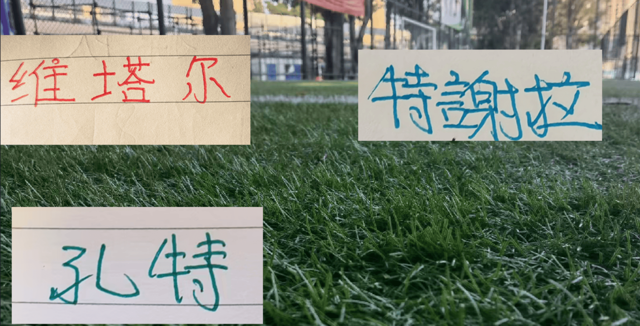 文章配图-1
