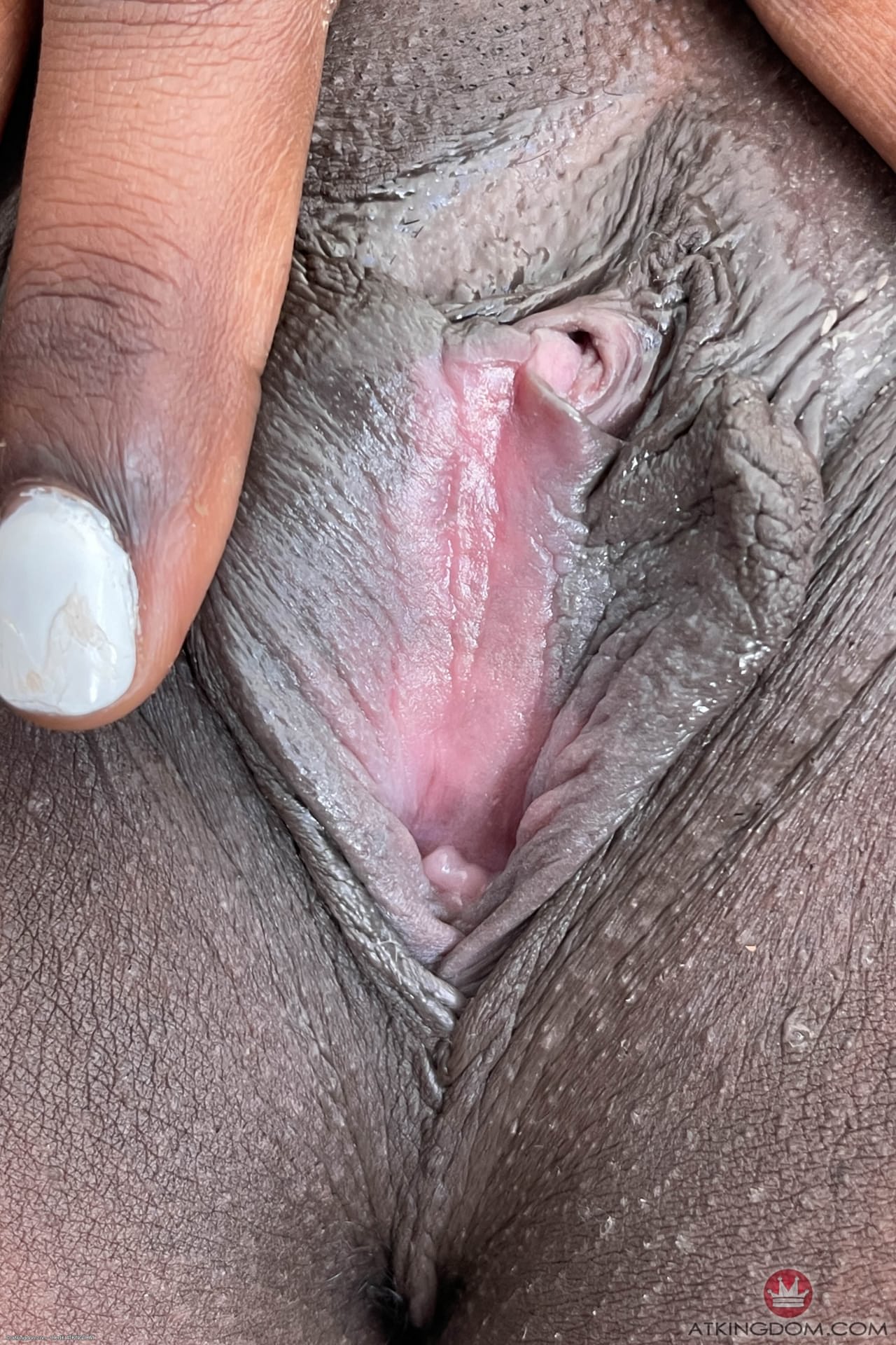 ATK Petites 特色异种爱的性爱图片
